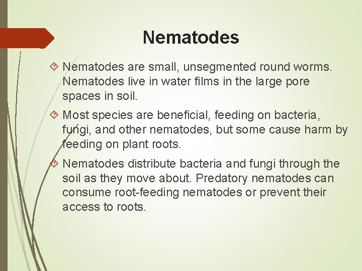 Nematodes are small, unsegmented round worms. Nematodes live in water films in the large
