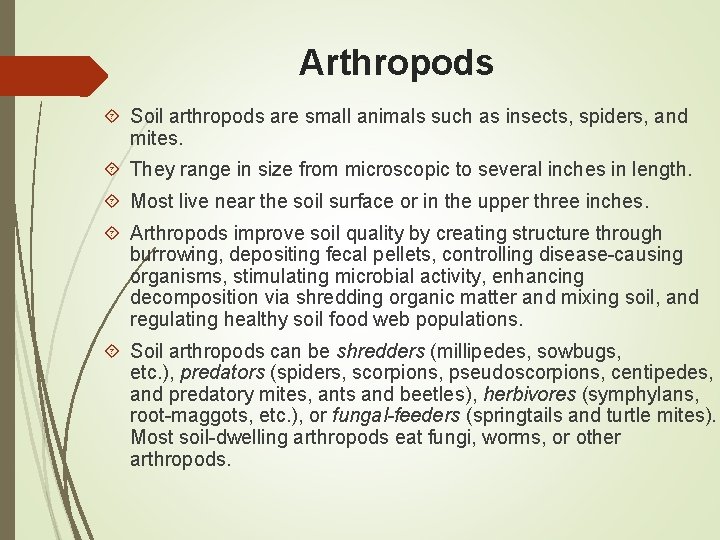 Arthropods Soil arthropods are small animals such as insects, spiders, and mites. They range