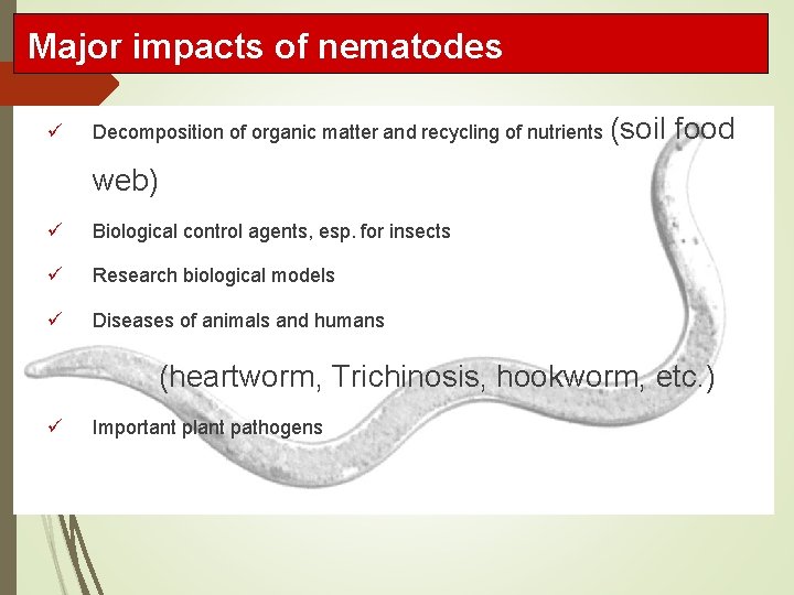 Major impacts of nematodes ü Decomposition of organic matter and recycling of nutrients (soil