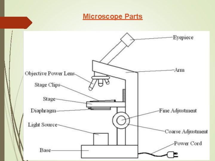 Microscope Parts 