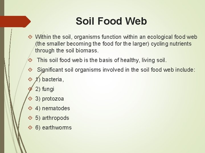 Soil Food Web Within the soil, organisms function within an ecological food web (the