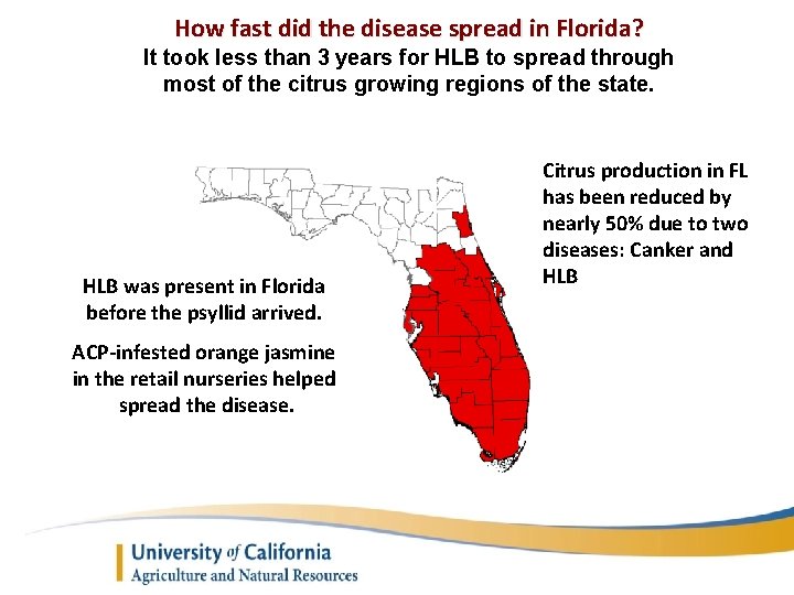 How fast did the disease spread in Florida? It took less than 3 years