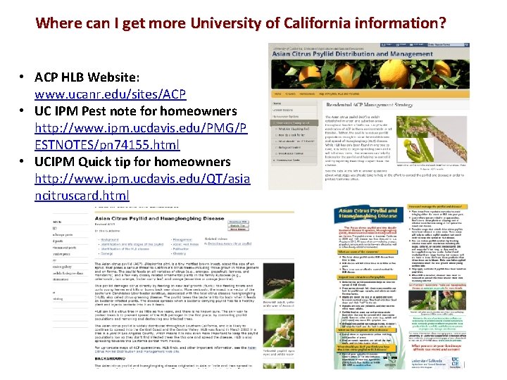 Where can I get more University of California information? • ACP HLB Website: www.