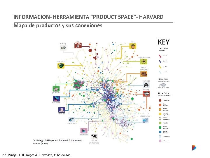 INFORMACIÓN- HERRAMIENTA “PRODUCT SPACE”- HARVARD Mapa de productos y sus conexiones C. A. Hidalgo