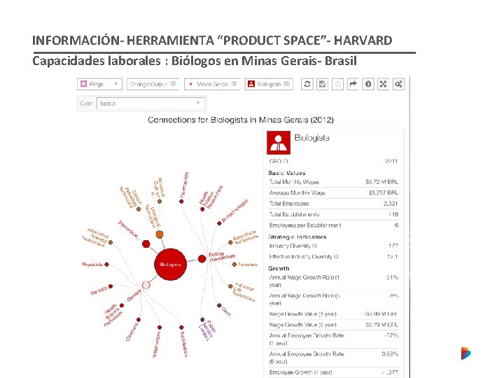 INFORMACIÓN- HERRAMIENTA “PRODUCT SPACE”- HARVARD Capacidades laborales : Biólogos en Minas Gerais- Brasil 