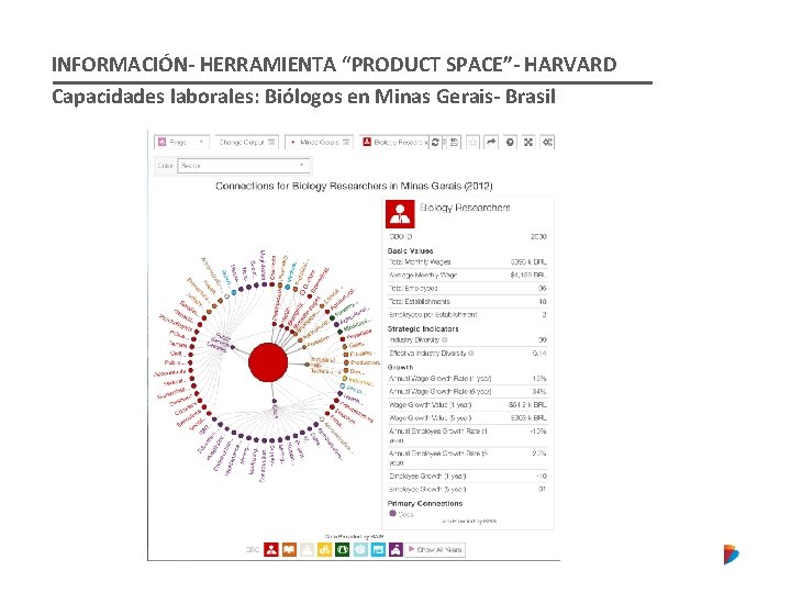 INFORMACIÓN- HERRAMIENTA “PRODUCT SPACE”- HARVARD Capacidades laborales: Biólogos en Minas Gerais- Brasil 