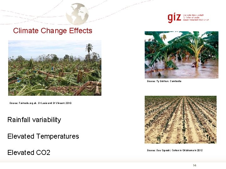 Climate Change Effects Source: Ty Sokhun, Cambodia Source: Fairtrade. org. uk, St Lucia and