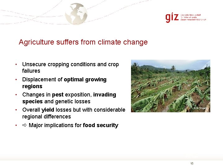 Agriculture suffers from climate change • Unsecure cropping conditions and crop failures • Displacement