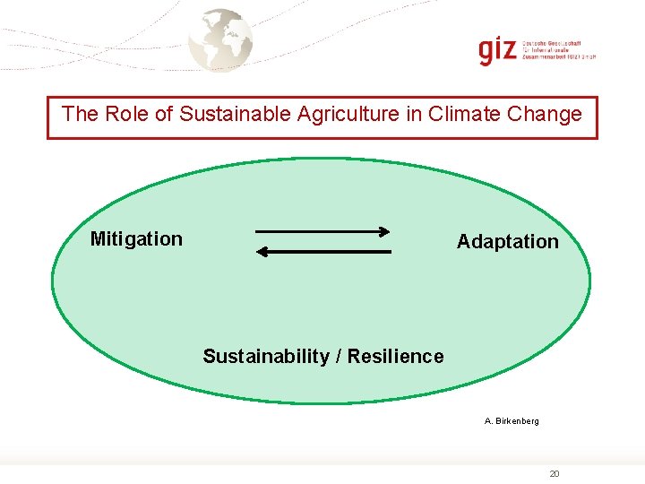 The Role of Sustainable Agriculture in Climate Change Mitigation Adaptation Sustainability / Resilience A.