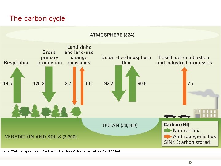 The carbon cycle Source: World Development report. 2010. Focus A: The science of climate