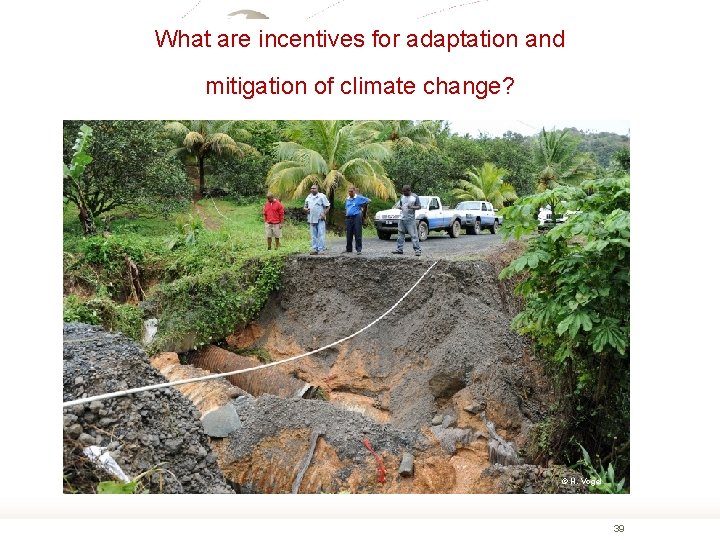 What are incentives for adaptation and mitigation of climate change? © H. Vogel 39