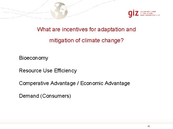 What are incentives for adaptation and mitigation of climate change? Bioeconomy Resource Use Efficiency
