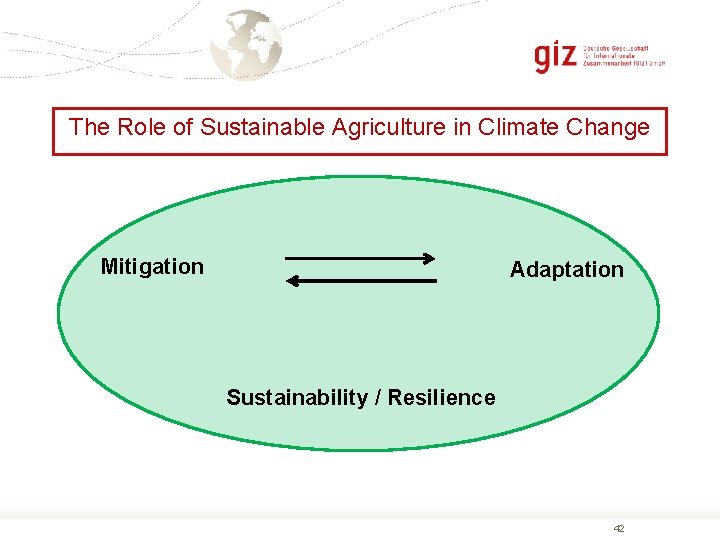The Role of Sustainable Agriculture in Climate Change Mitigation Adaptation Sustainability / Resilience 42