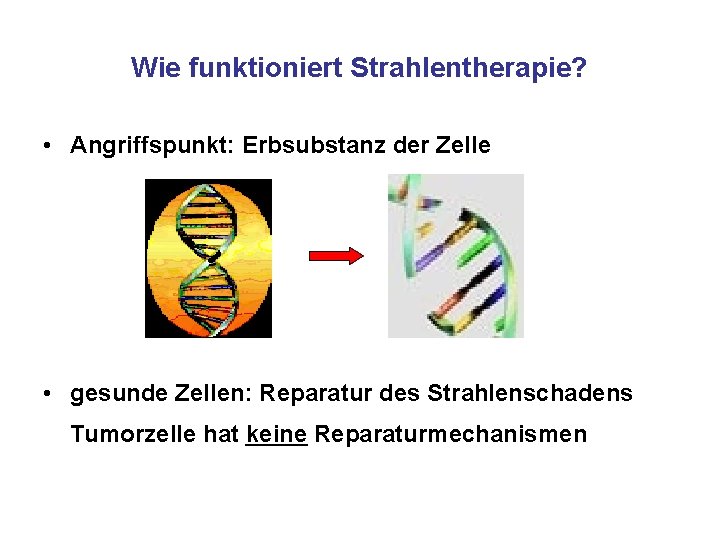 Wie funktioniert Strahlentherapie? • Angriffspunkt: Erbsubstanz der Zelle • gesunde Zellen: Reparatur des Strahlenschadens