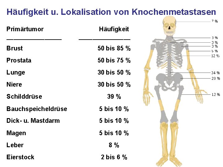 Häufigkeit u. Lokalisation von Knochenmetastasen Primärtumor ________ Häufigkeit ________ Brust 50 bis 85 %