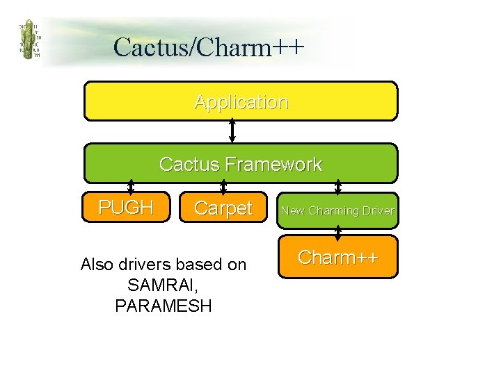 Cactus/Charm++ Application Cactus Framework PUGH Carpet Also drivers based on SAMRAI, PARAMESH New Charming