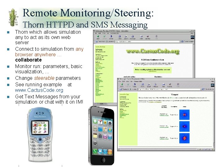 Remote Monitoring/Steering: Thorn HTTPD and SMS Messaging n n n Thorn which allows simulation