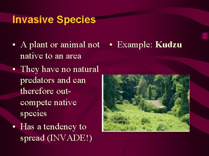 Invasive Species • A plant or animal not native to an area • They