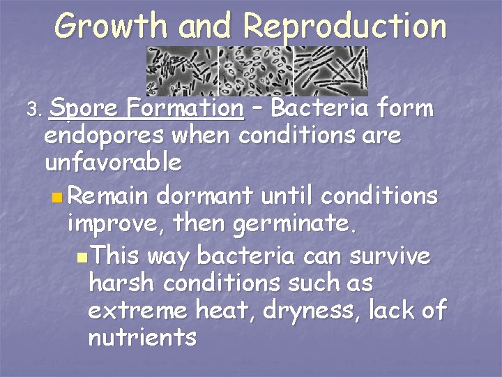 Growth and Reproduction 3. Spore Formation – Bacteria form endopores when conditions are unfavorable