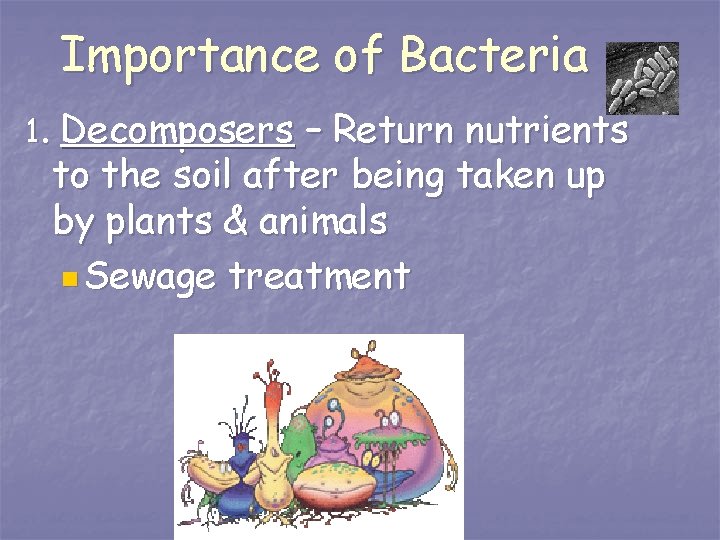 Importance of Bacteria 1. Decomposers – Return nutrients to the soil after being taken
