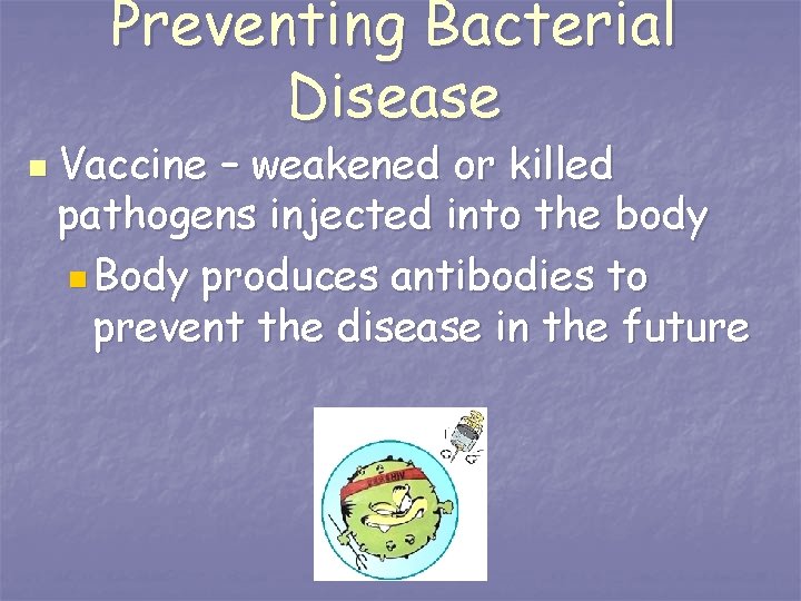 Preventing Bacterial Disease n Vaccine – weakened or killed pathogens injected into the body