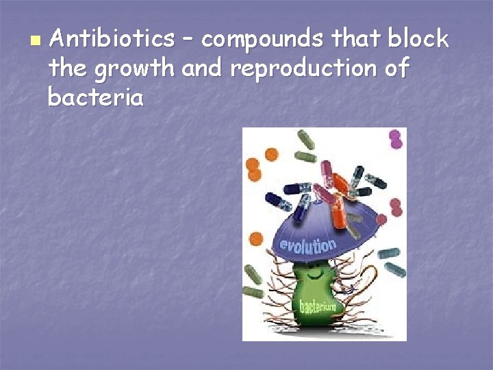 n Antibiotics – compounds that block the growth and reproduction of bacteria 