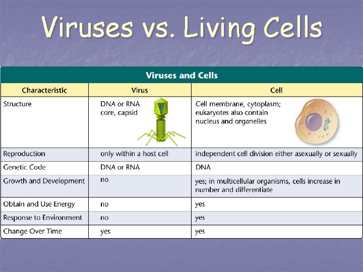 Viruses vs. Living Cells 