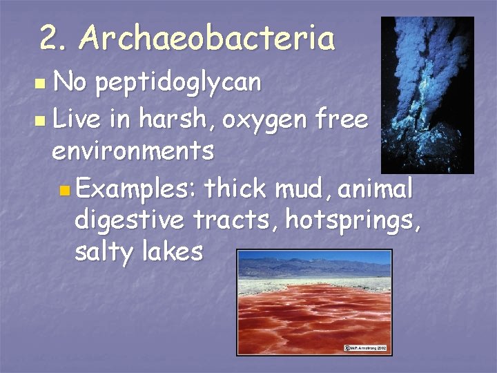 2. Archaeobacteria n No peptidoglycan n Live in harsh, oxygen free environments n Examples: