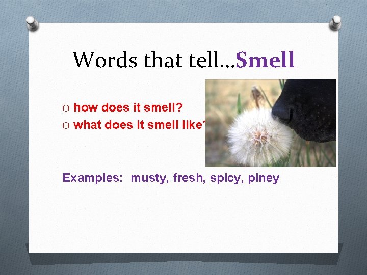 Words that tell…Smell O how does it smell? O what does it smell like?