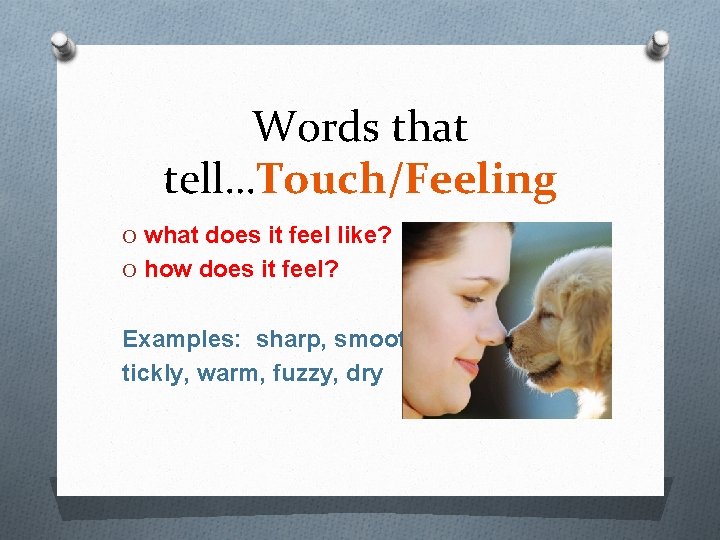 Words that tell…Touch/Feeling O what does it feel like? O how does it feel?
