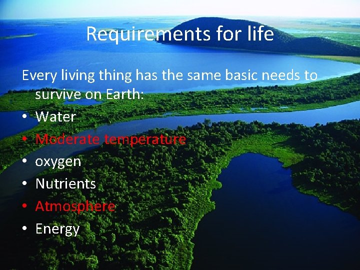 Requirements for life Every living thing has the same basic needs to survive on