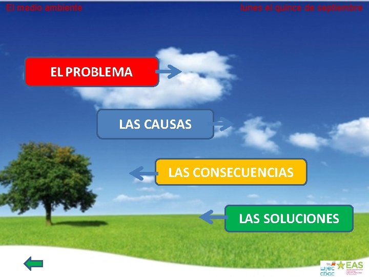 El medio ambiente lunes el quince de septiembre EL PROBLEMA LAS CAUSAS LAS CONSECUENCIAS