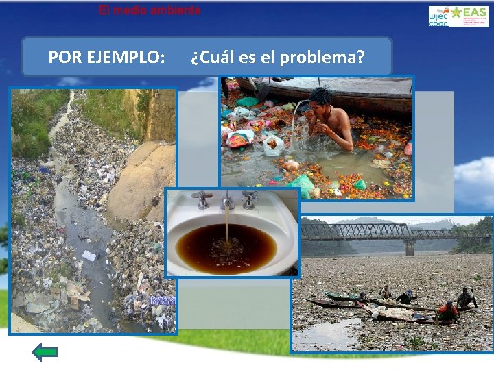 El medio ambiente POR EJEMPLO: ¿Cuál es el problema? 