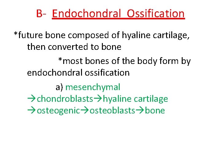 B- Endochondral Ossification *future bone composed of hyaline cartilage, then converted to bone *most