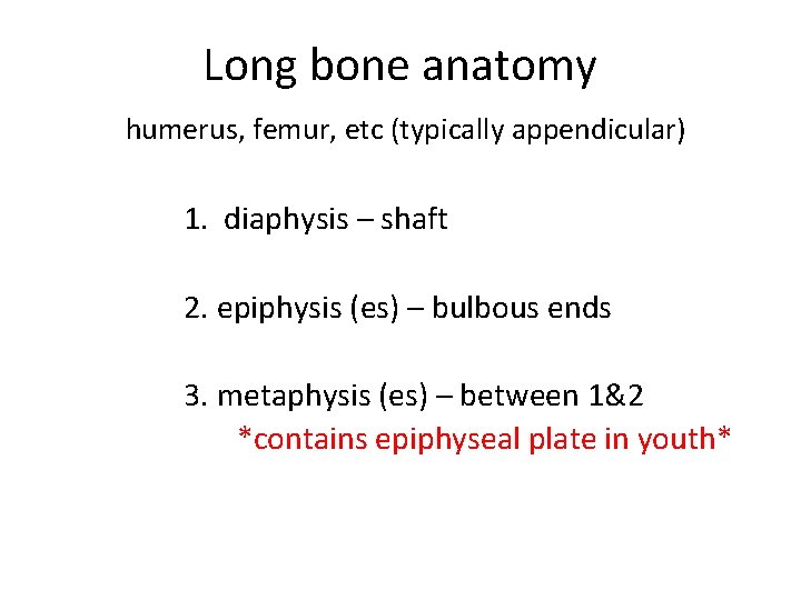 Long bone anatomy humerus, femur, etc (typically appendicular) 1. diaphysis – shaft 2. epiphysis