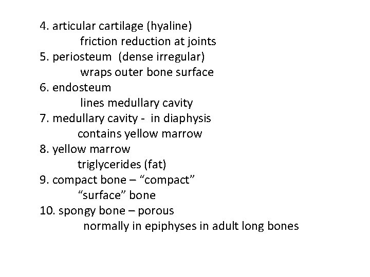 4. articular cartilage (hyaline) friction reduction at joints 5. periosteum (dense irregular) wraps outer