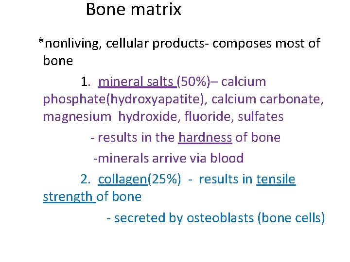 Bone matrix *nonliving, cellular products- composes most of bone 1. mineral salts (50%)– calcium