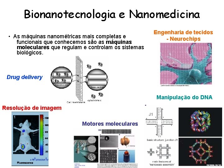 Bionanotecnologia e Nanomedicina • As máquinas nanométricas mais completas e funcionais que conhecemos são