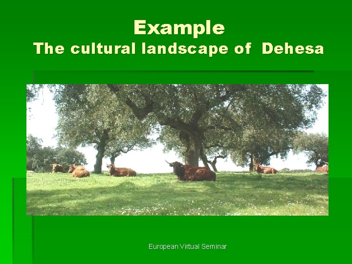 Example The cultural landscape of Dehesa European Virtual Seminar 