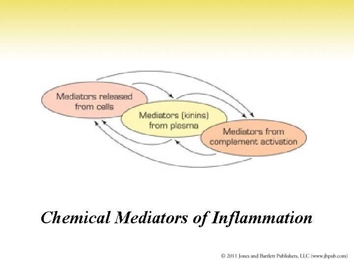 Chemical Mediators of Inflammation 