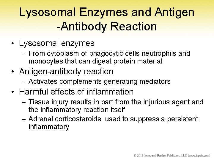 Lysosomal Enzymes and Antigen -Antibody Reaction • Lysosomal enzymes – From cytoplasm of phagocytic