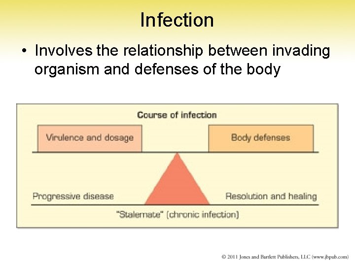 Infection • Involves the relationship between invading organism and defenses of the body 