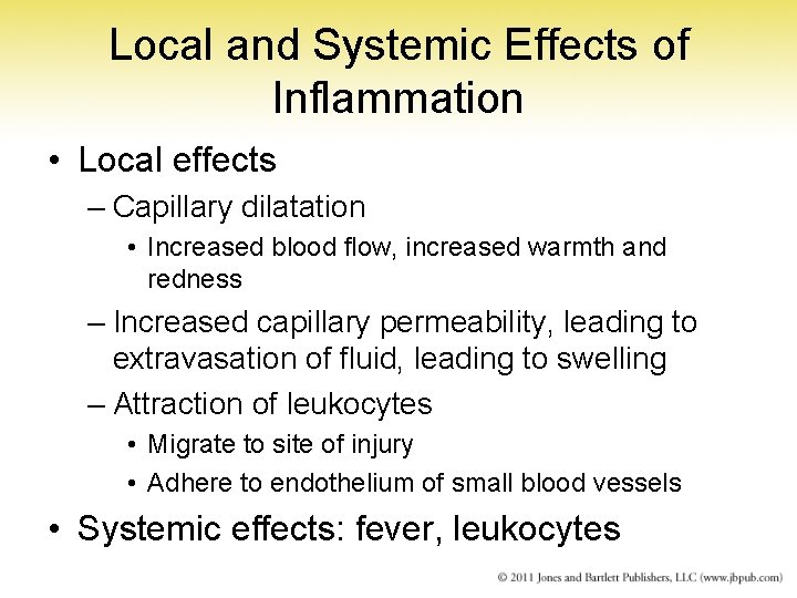 Local and Systemic Effects of Inflammation • Local effects – Capillary dilatation • Increased