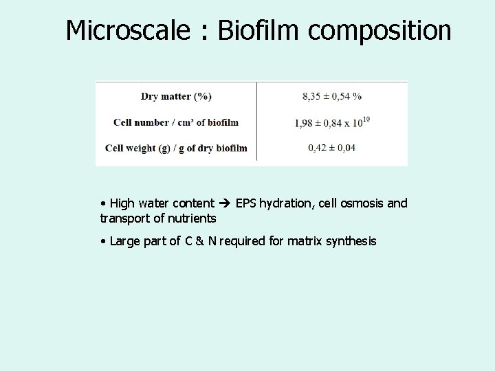 Microscale : Biofilm composition • High water content EPS hydration, cell osmosis and transport