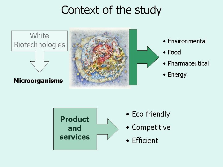 Context of the study White Biotechnologies • Environmental • Food • Pharmaceutical • Energy