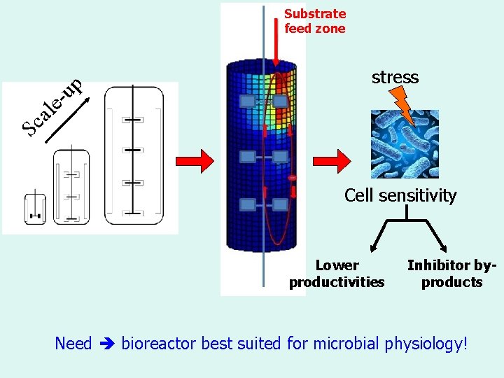 stress Sc al e- up Substrate feed zone Cell sensitivity Lower productivities Inhibitor byproducts