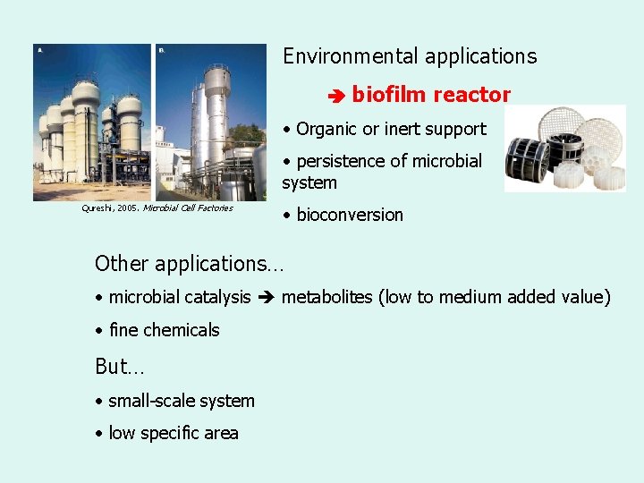 Environmental applications biofilm reactor • Organic or inert support • persistence of microbial system