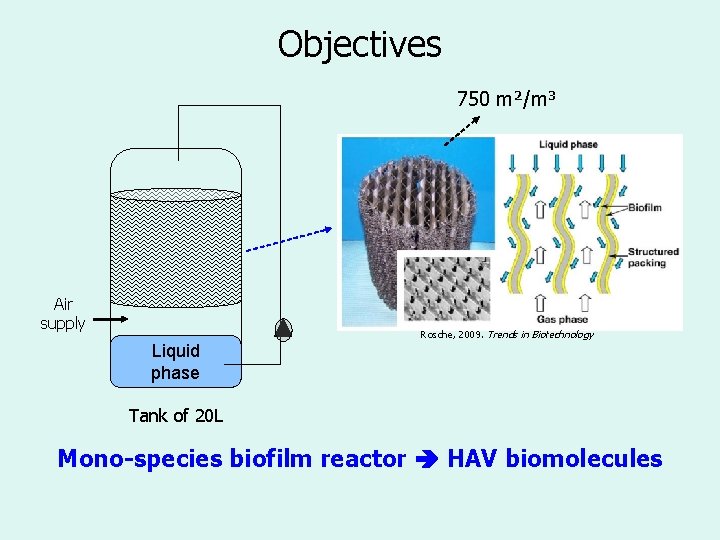 Objectives 750 m²/m³ Air supply Rosche, 2009. Trends in Biotechnology Liquid phase Tank of