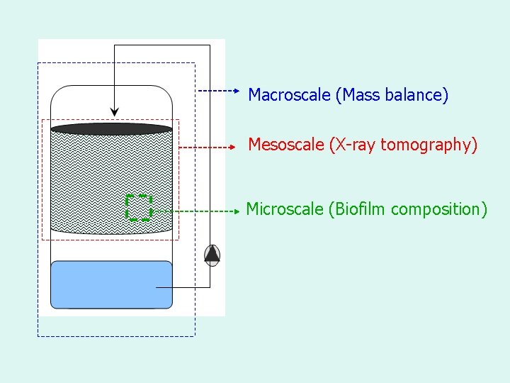 Macroscale (Mass balance) Mesoscale (X-ray tomography) Microscale (Biofilm composition) 