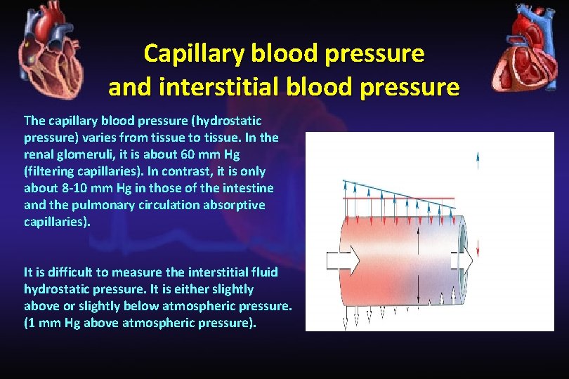 Capillary blood pressure and interstitial blood pressure The capillary blood pressure (hydrostatic pressure) varies